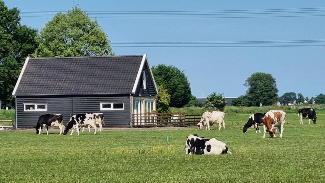 City Farmers Lodge, A Guesthouse With A Skyline View In Rural Amsterdam Zewnętrze zdjęcie