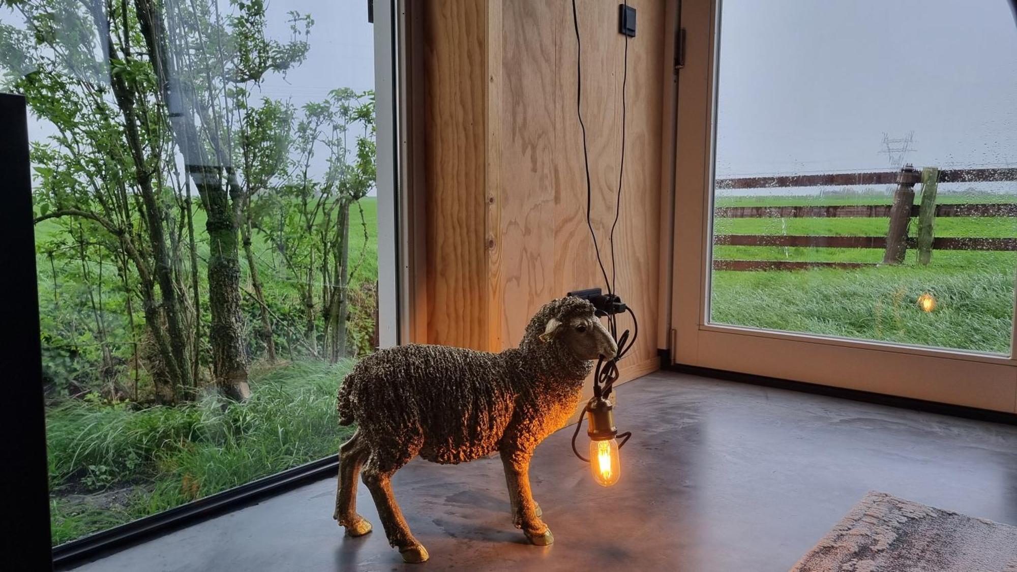 City Farmers Lodge, A Guesthouse With A Skyline View In Rural Amsterdam Zewnętrze zdjęcie